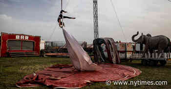 The Circus Came to Town, Then It Couldn’t Leave