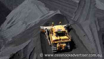 Deputy PM boasts Nationals' pro-coal view - Cessnock Advertiser