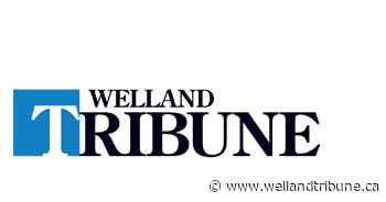 Welland man faces drug charges - WellandTribune.ca