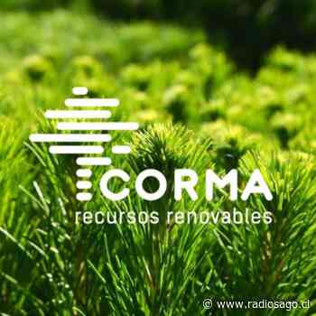 CORMA, dispuso recinto ferial en Coronel, para centro de aislamiento físico de personas con Coronavirus - Radio Sago