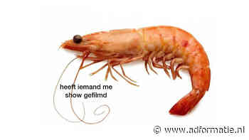 Viral van de week: Stereotype memes