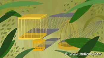 Poetry: 'A Menagerie' | Arts And Leisure | dailyuw.com - Dailyuw