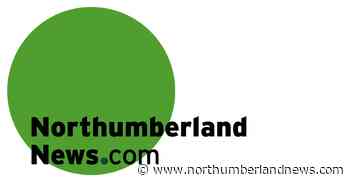 Northumberland OPP confirms bear sighting in Trent Hills - northumberlandnews.com