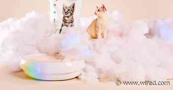 Pretty Litter Review: Keeping Tabs on Your Cat's Health