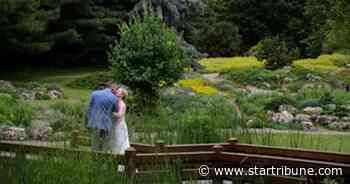 Minneapolis parks ready to raise number of outdoor wedding attendees