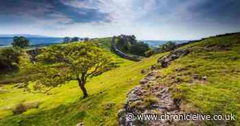 Practice social distancing at all times say councils