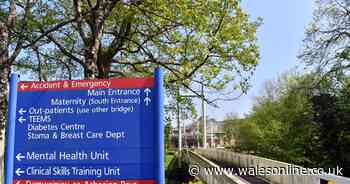 Under-threat A&E at Royal Glamorgan recruits two new consultants