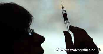 500 people in one part of Wales set to take part in groundbreaking coronavirus vaccine trial - Wales Online