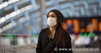 Fourteen more people have died in Wales after testing positive for coronavirus - Wales Online