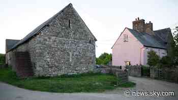 Second man, 19, dies after water buffalo attack in Wales - Sky News
