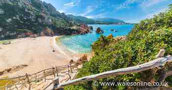 Latest on holidays to Greece, Spain and other major destinations in 2020