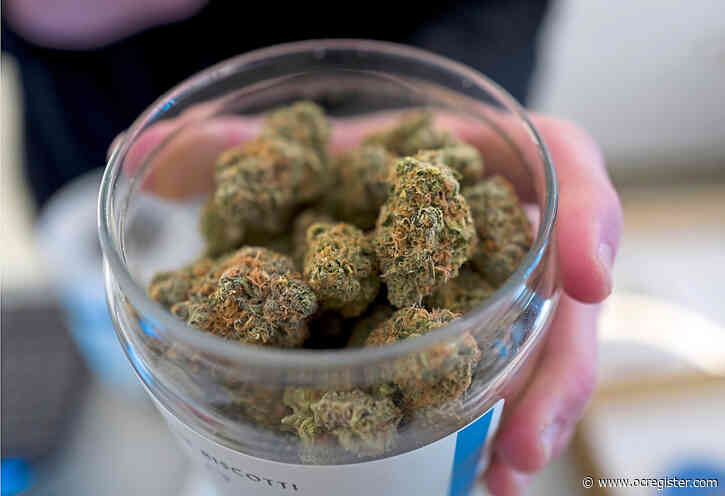 California’s priorities have gone to pot: John Phillips