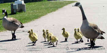 We are family …