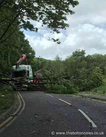 Tree blocks road in Bolton as strong winds to continue