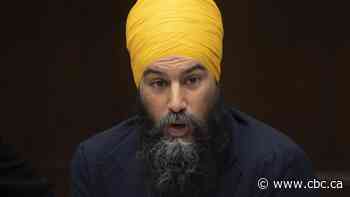 New Democratic Party to apply for federal wage subsidy as donations dry up