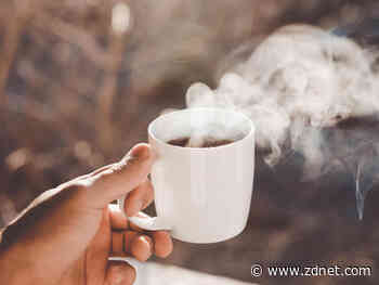 Best coffee and tea makers in 2020: AeroPress, Grosche, Breville, and more