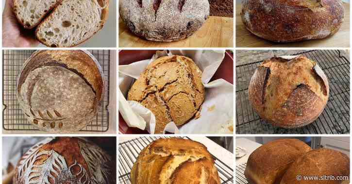 Part science, part art, the allure of sourdough bread is rising in Utah and across the nation during the pandemic
