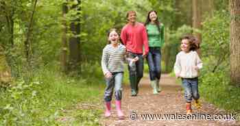 The difficulties some parents are having raising children in lockdown