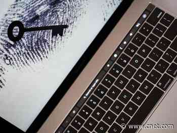 Personal data used in COVID-19 unemployment claims exposed in breach     - CNET