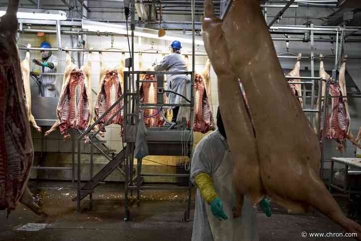 Scared and sick, U.S. meat workers crowd into reopened plants