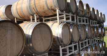 Okanagan wineries allowed to open doors again for taste testing: ‘It’s very nice’