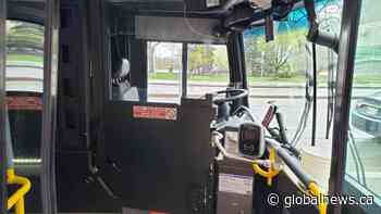 What does Edmonton Transit look like long-term?