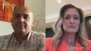 Duty free shops on Canada-U.S. land border say they don't qualify for commercial rent break