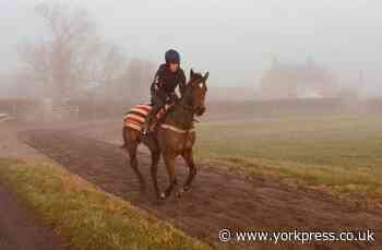 Horse rider from North Yorkshire to appear on Helicopter ER