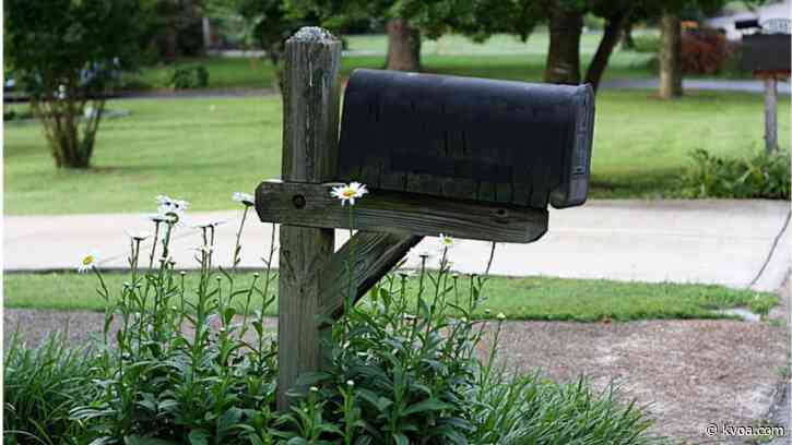 AP: 11-year-old girl in South Carolina says racism behind white woman’s assault