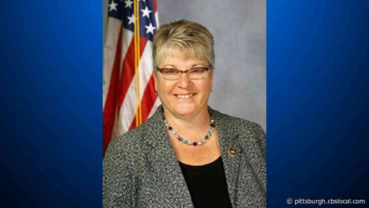 Pa. State Representative Pam Snyder Extremely Frustrated Her District Wasn’t Included In ‘Green’ Announcement