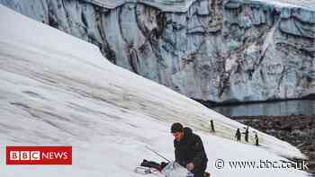 Antarctic algal blooms: 'Green snow' mapped from space