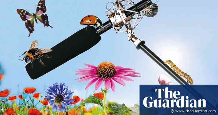 Rain on rooftops: the strange appeal of 'slow audio'