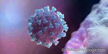 Researchers use predictive models to calculate more accurate COVID-19 case fatality ratios