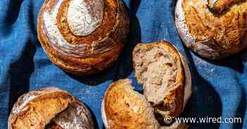 WIRED's Bread Making Tips & Supplies Guide: Yeast, Baking Accessories, and More
