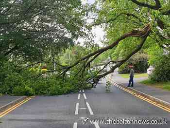 Tree falls on Chapeltown Road, Bromley Cross