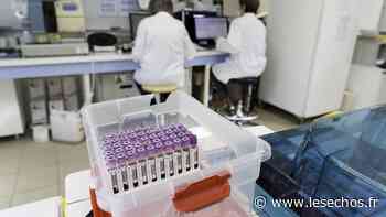 Coronavirus : un quart des Français seraient rétifs à la vaccination - Les Échos
