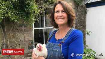 Coronavirus: Lockdown rush for hens prompts supply concern