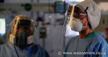 Six more people die with coronavirus in Wales to bring total to 1,260