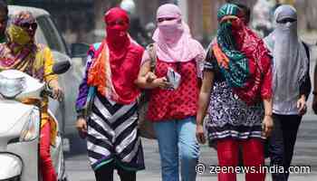 Delhi witnesses hottest day, temperature crosses 45-degree Celsius mark
