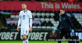 Mike van der Hoorn makes candid admission on Swansea City future