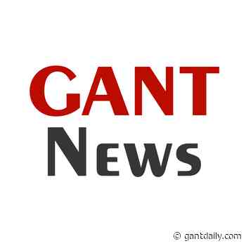 The Medical Minute: Prevent a Stroke by Knowing Your Risks | GantNews.com - GANT News