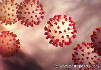 Four more die in Allegheny County from COVID-19, 14 new cases reported