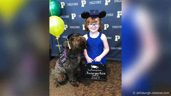 A Kentucky School Surprised A Little Girl By Including A Photo Of Her Service Dog In The Yearbook
