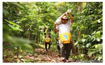 Familias del Magdalena que recuperaron sus tierras exportarán 105 mil kilogramos de café - Seguimiento.co