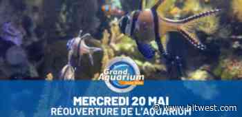 Le Grand Aquarium de St Malo a ré-ouvert ses portes ! - HitWest