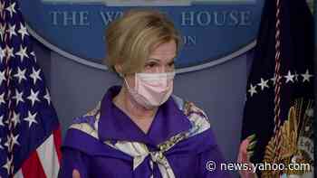 Dr. Deborah Birx responds to latest study on risks of hydroxycholoquine for COVID-19