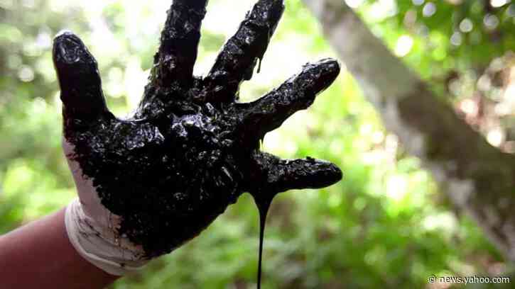 Indigenous leaders: stop oil drilling in the Amazon
