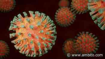 Según nuevo estudio, la inmunidad al coronavirus podría desaparecer después de seis meses - ámbito.com