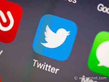 Trump considers panel to check social media for anticonservative bias, WSJ reports     - CNET