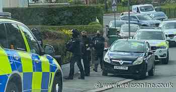 Armed police called to reports of a disturbance in residential street